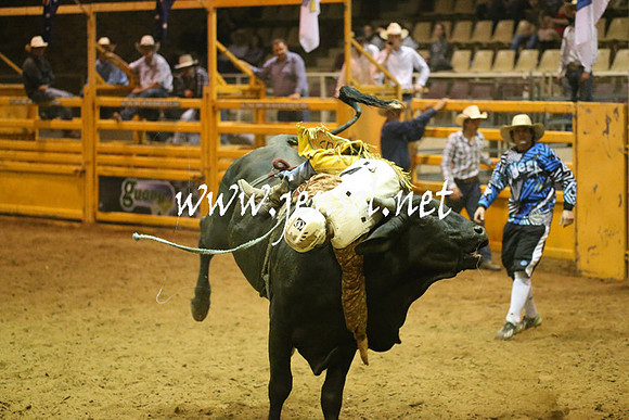 RealDealRodeoNov2013_1502