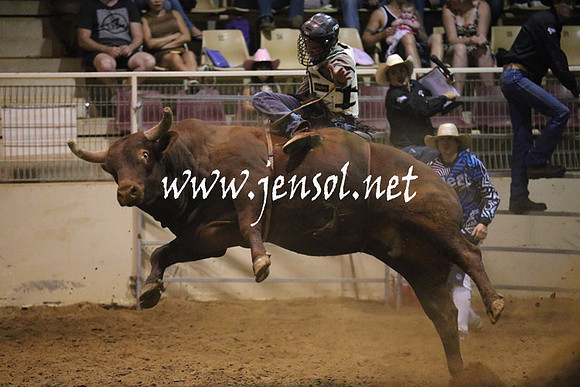 RealDealRodeoNov2013_1129