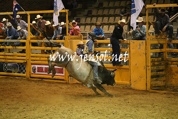 RealDealRodeoNov2013_0655