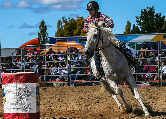 BraidwoodRodeo2015_1303