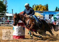 BraidwoodRodeo2015_0747