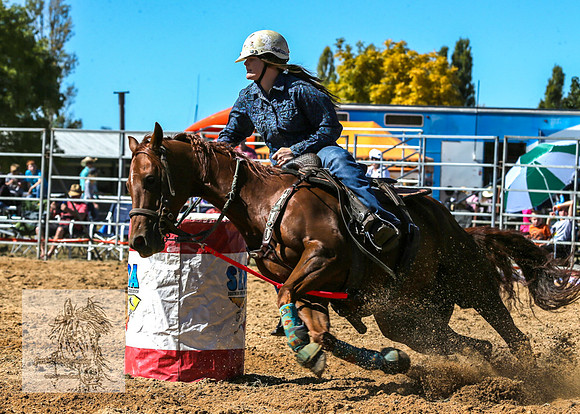 BraidwoodRodeo2015_0747