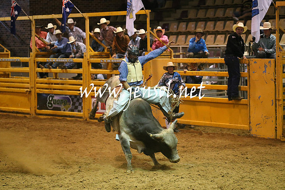 RealDealRodeoNov2013_0662