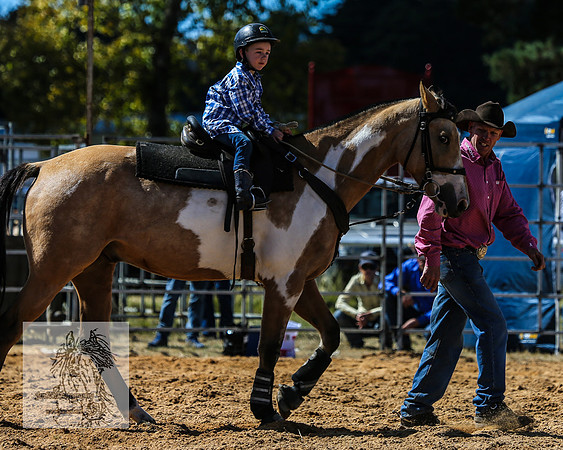 BraidwoodRodeo2015_1175