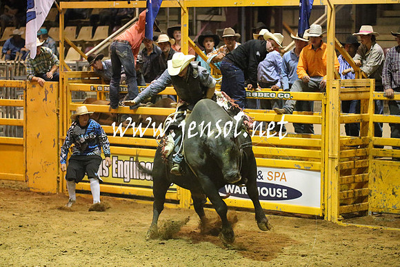 RealDealRodeoNov2013_1059