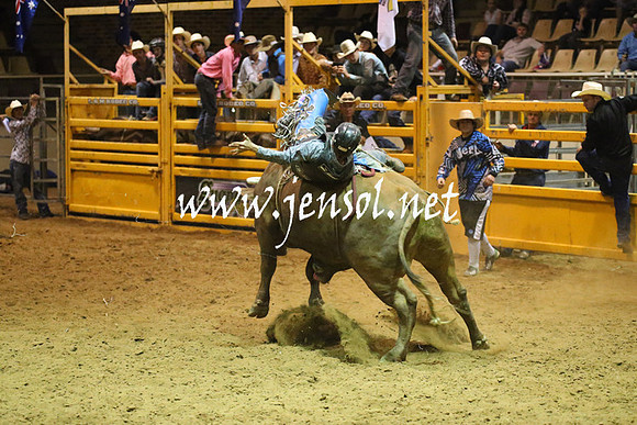 RealDealRodeoNov2013_1078