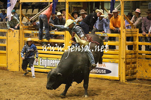 RealDealRodeoNov2013_1063