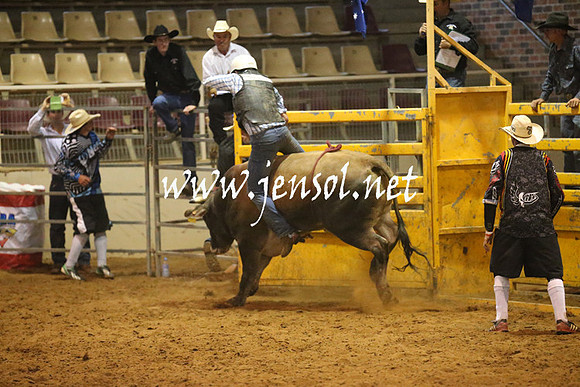 RealDealRodeoNov2013_0640