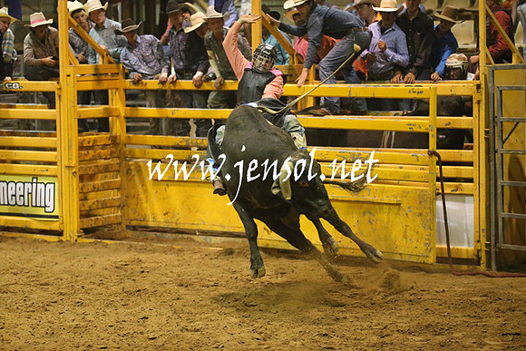 RealDealRodeoNov2013_1473