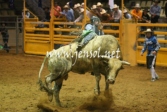 RealDealRodeoNov2013_0582
