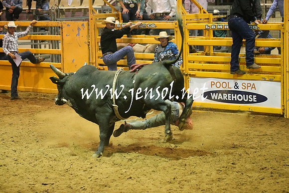 RealDealRodeoNov2013_0610