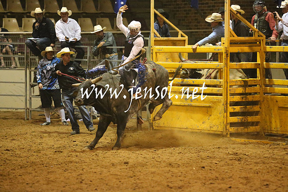 RealDealRodeoNov2013_1386