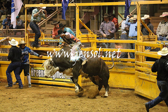 RealDealRodeoNov2013_1026
