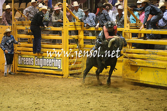 RealDealRodeoNov2013_1462