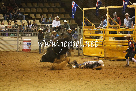 RealDealRodeoNov2013_1378