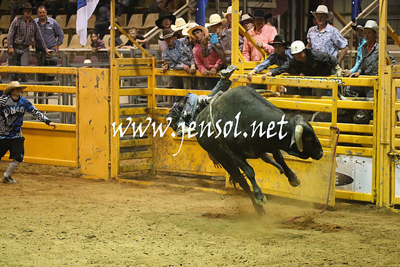 RealDealRodeoNov2013_1991