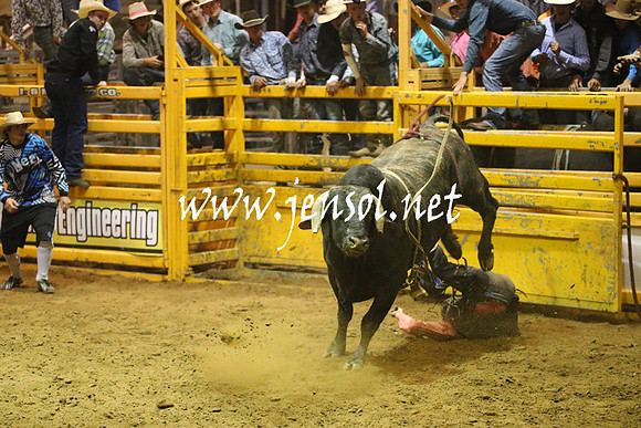 RealDealRodeoNov2013_1478
