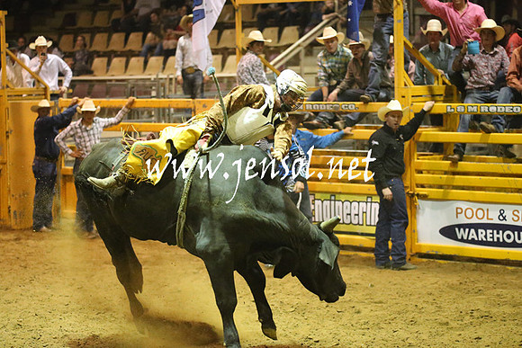 RealDealRodeoNov2013_1492
