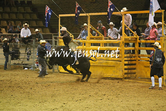 RealDealRodeoNov2013_1364