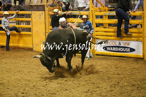 RealDealRodeoNov2013_0608