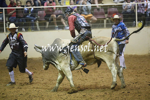 RealDealRodeoNov2013_1431