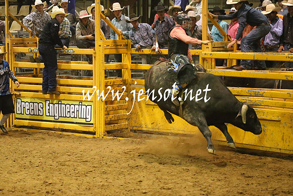 RealDealRodeoNov2013_1463