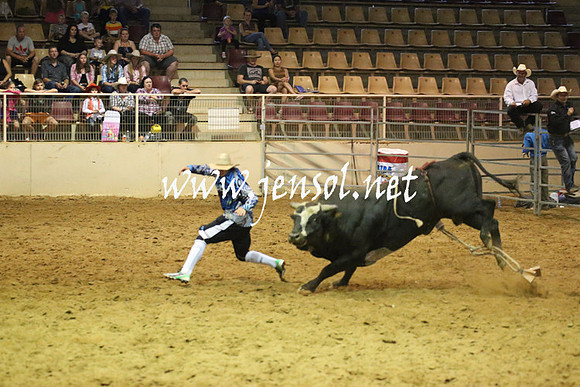 RealDealRodeoNov2013_0573
