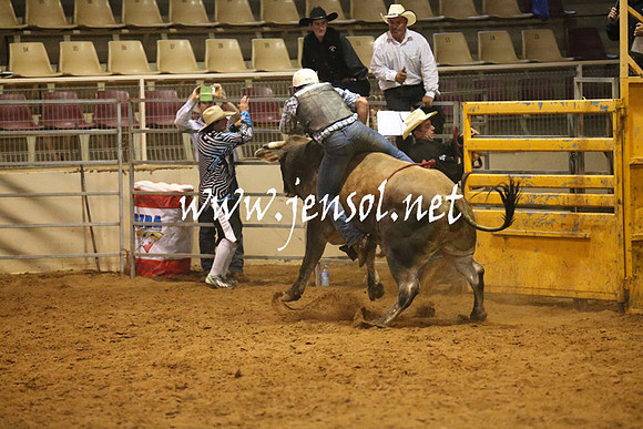 RealDealRodeoNov2013_0642