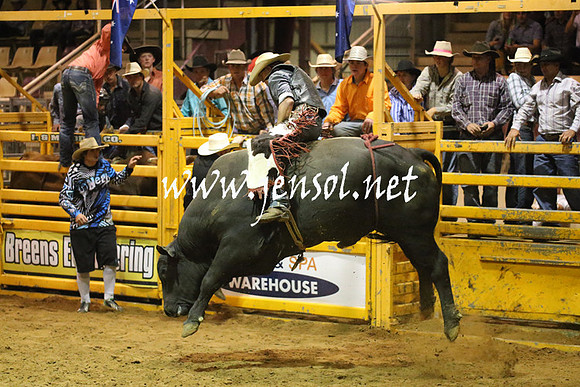 RealDealRodeoNov2013_1049