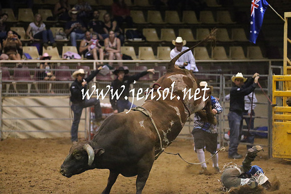 RealDealRodeoNov2013_1112