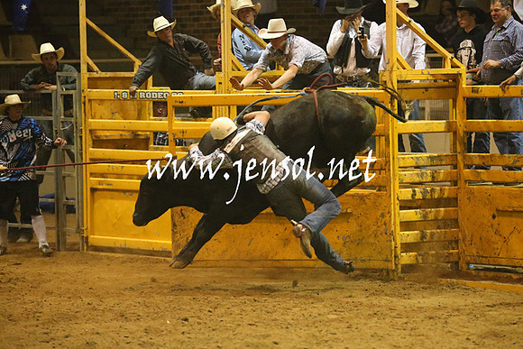 RealDealRodeoNov2013_1432