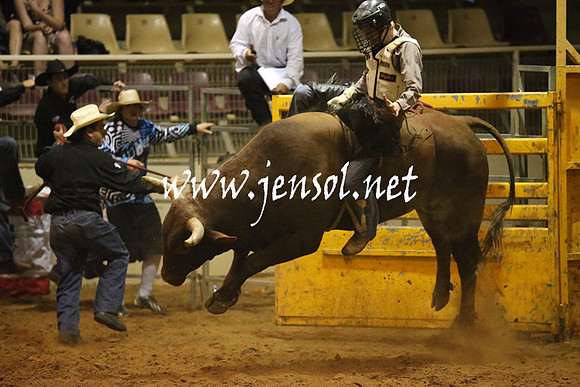 RealDealRodeoNov2013_1113