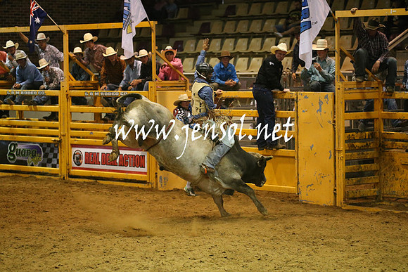 RealDealRodeoNov2013_0654