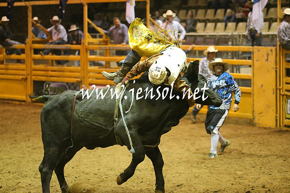 RealDealRodeoNov2013_1504