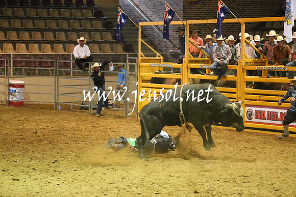 RealDealRodeoNov2013_0570