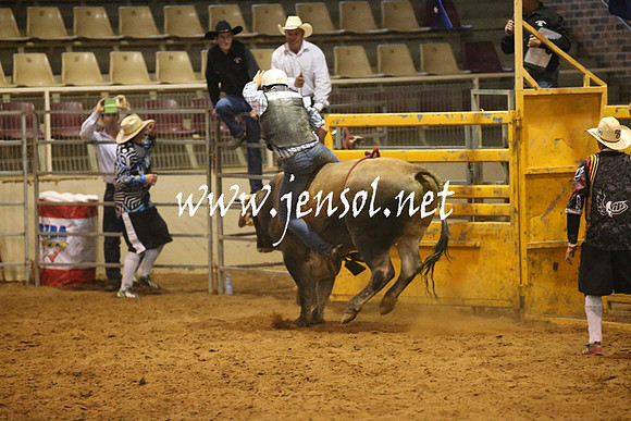 RealDealRodeoNov2013_0641