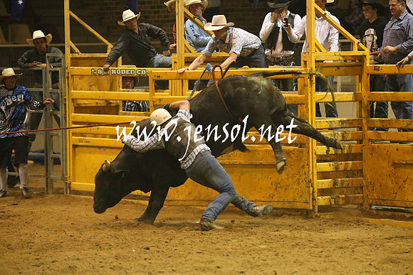 RealDealRodeoNov2013_1433
