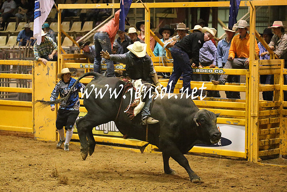 RealDealRodeoNov2013_1056