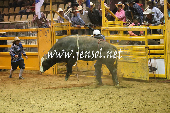RealDealRodeoNov2013_1457