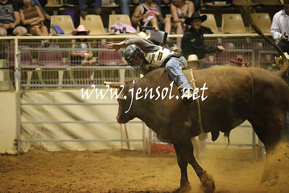 RealDealRodeoNov2013_1123
