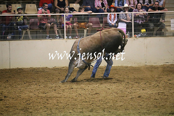 RealDealRodeoNov2013_0649
