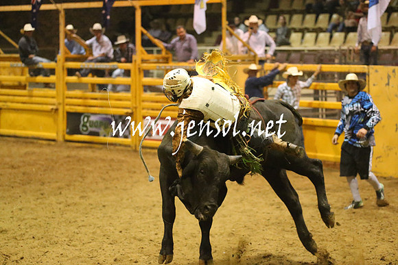 RealDealRodeoNov2013_1500