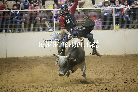 RealDealRodeoNov2013_1419