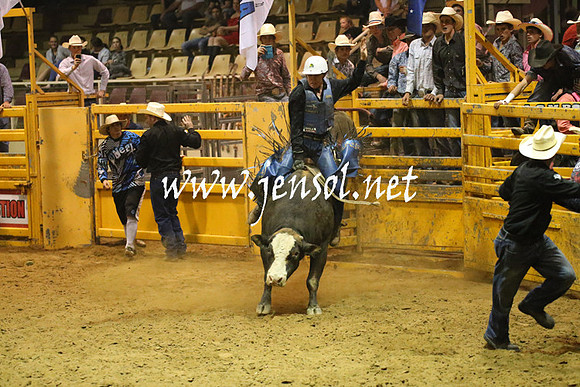 RealDealRodeoNov2013_1443