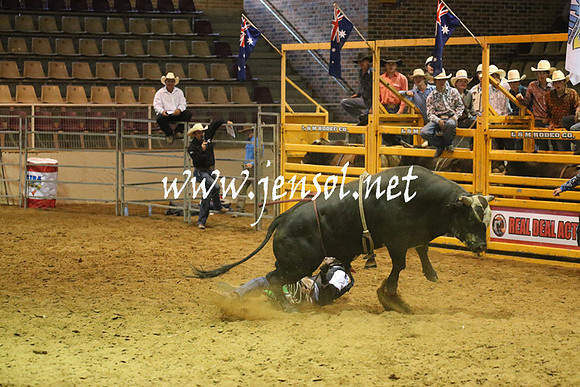 RealDealRodeoNov2013_0569