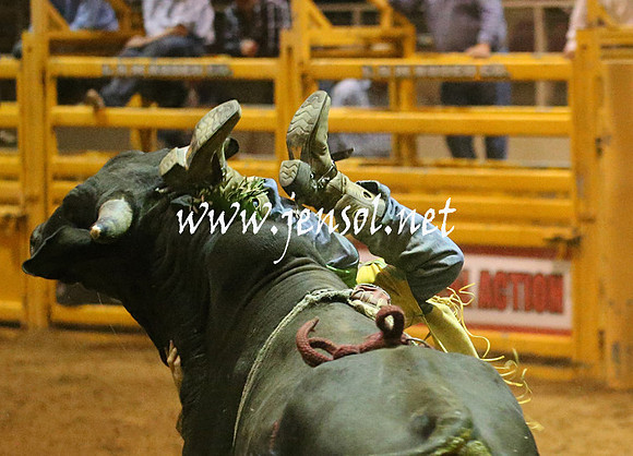 RealDealRodeoNov2013_1507