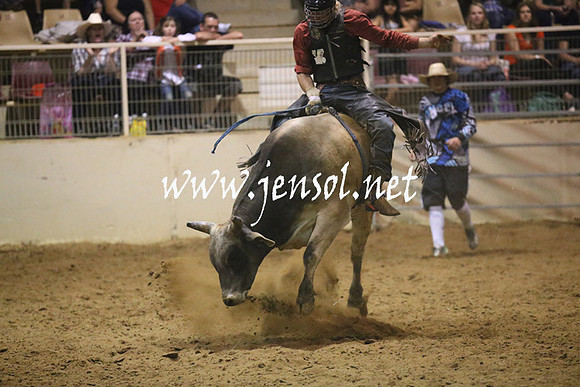 RealDealRodeoNov2013_1410