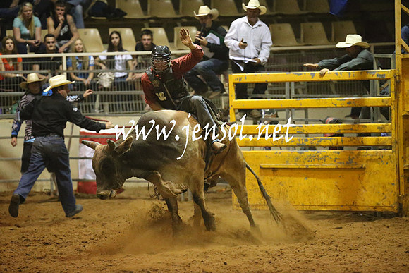 RealDealRodeoNov2013_1403
