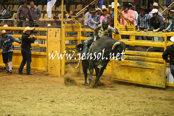 RealDealRodeoNov2013_1980