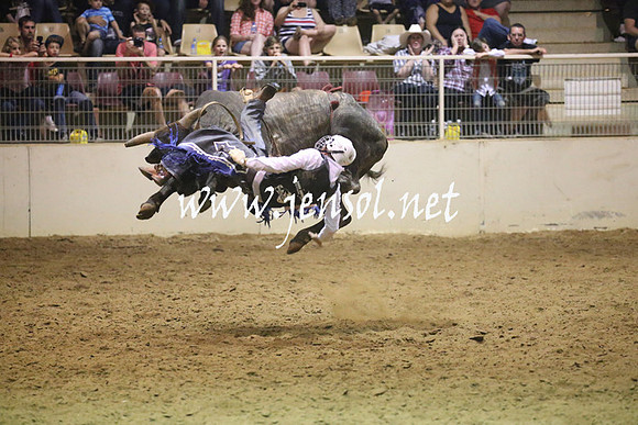 RealDealRodeoNov2013_1391